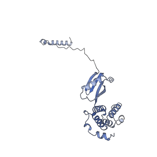 15563_8apa_M1_v1-0
rotational state 1a of the Trypanosoma brucei mitochondrial ATP synthase dimer