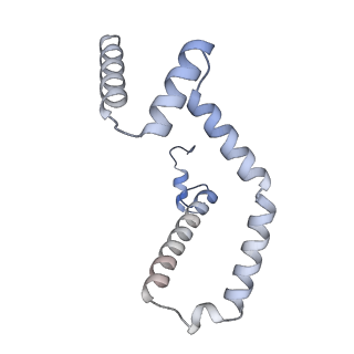 15563_8apa_M_v1-0
rotational state 1a of the Trypanosoma brucei mitochondrial ATP synthase dimer