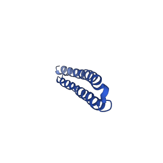 15563_8apa_P1_v1-0
rotational state 1a of the Trypanosoma brucei mitochondrial ATP synthase dimer