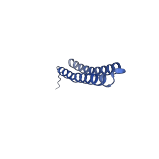15563_8apa_R1_v1-0
rotational state 1a of the Trypanosoma brucei mitochondrial ATP synthase dimer