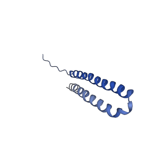 15563_8apa_V1_v1-0
rotational state 1a of the Trypanosoma brucei mitochondrial ATP synthase dimer
