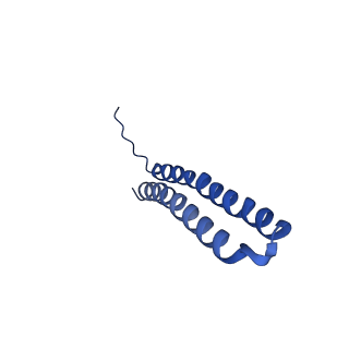 15563_8apa_W1_v1-0
rotational state 1a of the Trypanosoma brucei mitochondrial ATP synthase dimer