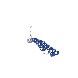 15563_8apa_X1_v1-0
rotational state 1a of the Trypanosoma brucei mitochondrial ATP synthase dimer