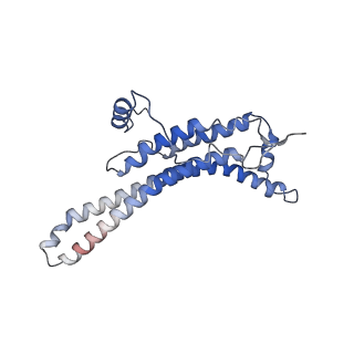 15563_8apa_a_v1-0
rotational state 1a of the Trypanosoma brucei mitochondrial ATP synthase dimer