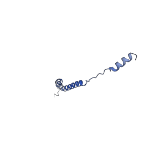 15563_8apa_c_v1-0
rotational state 1a of the Trypanosoma brucei mitochondrial ATP synthase dimer