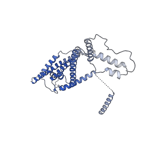 15563_8apa_d_v1-0
rotational state 1a of the Trypanosoma brucei mitochondrial ATP synthase dimer