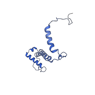15563_8apa_f_v1-0
rotational state 1a of the Trypanosoma brucei mitochondrial ATP synthase dimer