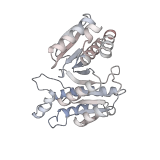 15563_8apa_g_v1-0
rotational state 1a of the Trypanosoma brucei mitochondrial ATP synthase dimer