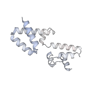 15563_8apa_h_v1-0
rotational state 1a of the Trypanosoma brucei mitochondrial ATP synthase dimer