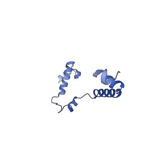 15563_8apa_i_v1-0
rotational state 1a of the Trypanosoma brucei mitochondrial ATP synthase dimer