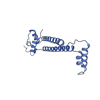 15563_8apa_j_v1-0
rotational state 1a of the Trypanosoma brucei mitochondrial ATP synthase dimer