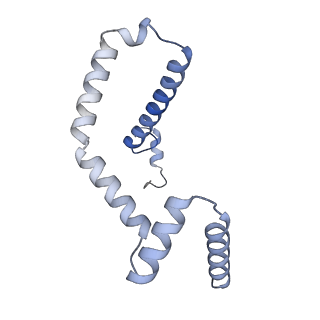 15563_8apa_m_v1-0
rotational state 1a of the Trypanosoma brucei mitochondrial ATP synthase dimer