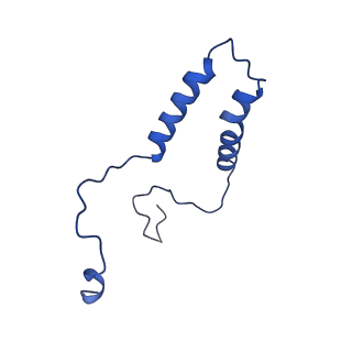 15563_8apa_q_v1-0
rotational state 1a of the Trypanosoma brucei mitochondrial ATP synthase dimer