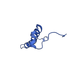 15563_8apa_r_v1-0
rotational state 1a of the Trypanosoma brucei mitochondrial ATP synthase dimer