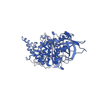 15564_8apb_A1_v1-0
rotational state 1b of the Trypanosoma brucei mitochondrial ATP synthase dimer