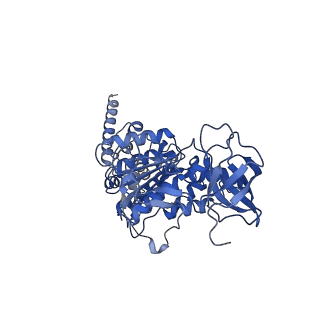 15564_8apb_D1_v1-0
rotational state 1b of the Trypanosoma brucei mitochondrial ATP synthase dimer