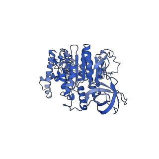 15564_8apb_F1_v1-0
rotational state 1b of the Trypanosoma brucei mitochondrial ATP synthase dimer