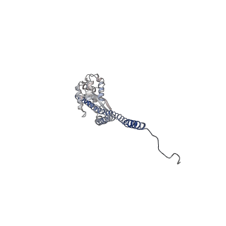 15564_8apb_G1_v1-0
rotational state 1b of the Trypanosoma brucei mitochondrial ATP synthase dimer