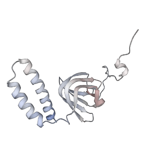 15564_8apb_H1_v1-0
rotational state 1b of the Trypanosoma brucei mitochondrial ATP synthase dimer