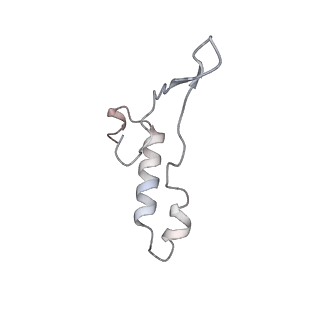 15564_8apb_I1_v1-0
rotational state 1b of the Trypanosoma brucei mitochondrial ATP synthase dimer