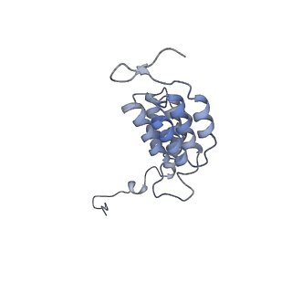 15564_8apb_J1_v1-0
rotational state 1b of the Trypanosoma brucei mitochondrial ATP synthase dimer