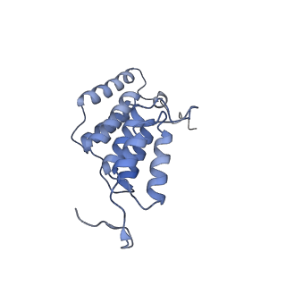 15564_8apb_K1_v1-0
rotational state 1b of the Trypanosoma brucei mitochondrial ATP synthase dimer