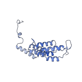 15564_8apb_L1_v1-0
rotational state 1b of the Trypanosoma brucei mitochondrial ATP synthase dimer