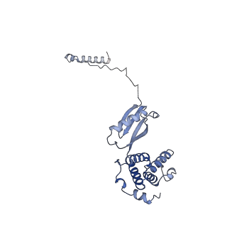 15564_8apb_M1_v1-0
rotational state 1b of the Trypanosoma brucei mitochondrial ATP synthase dimer