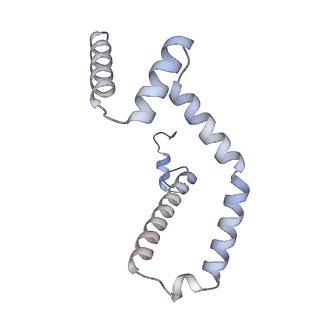 15564_8apb_M_v1-0
rotational state 1b of the Trypanosoma brucei mitochondrial ATP synthase dimer
