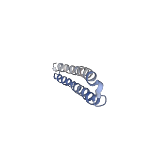15564_8apb_P1_v1-0
rotational state 1b of the Trypanosoma brucei mitochondrial ATP synthase dimer