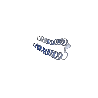 15564_8apb_Q1_v1-0
rotational state 1b of the Trypanosoma brucei mitochondrial ATP synthase dimer