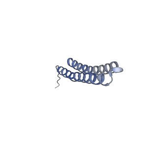 15564_8apb_R1_v1-0
rotational state 1b of the Trypanosoma brucei mitochondrial ATP synthase dimer