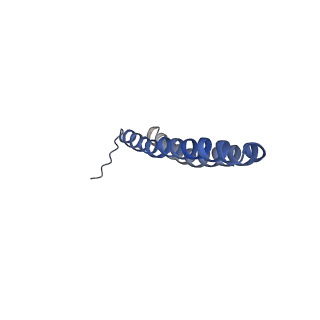15564_8apb_S1_v1-0
rotational state 1b of the Trypanosoma brucei mitochondrial ATP synthase dimer