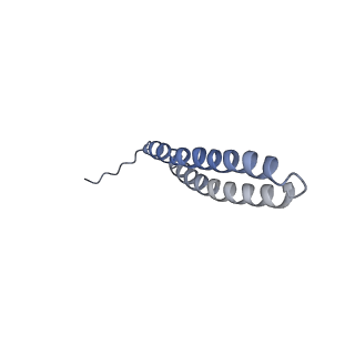 15564_8apb_T1_v1-0
rotational state 1b of the Trypanosoma brucei mitochondrial ATP synthase dimer