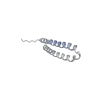 15564_8apb_U1_v1-0
rotational state 1b of the Trypanosoma brucei mitochondrial ATP synthase dimer