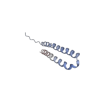 15564_8apb_V1_v1-0
rotational state 1b of the Trypanosoma brucei mitochondrial ATP synthase dimer