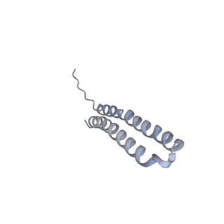 15564_8apb_W1_v1-0
rotational state 1b of the Trypanosoma brucei mitochondrial ATP synthase dimer