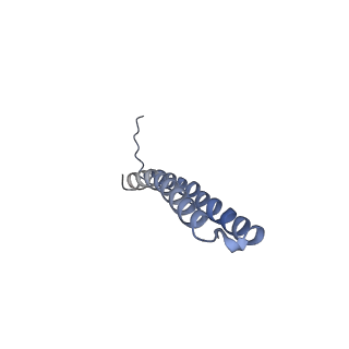 15564_8apb_X1_v1-0
rotational state 1b of the Trypanosoma brucei mitochondrial ATP synthase dimer