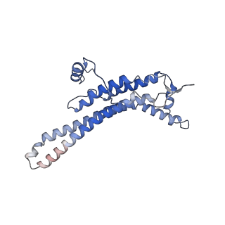 15564_8apb_a_v1-0
rotational state 1b of the Trypanosoma brucei mitochondrial ATP synthase dimer