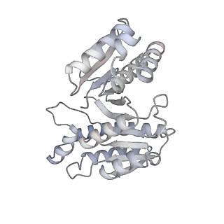 15564_8apb_g_v1-0
rotational state 1b of the Trypanosoma brucei mitochondrial ATP synthase dimer