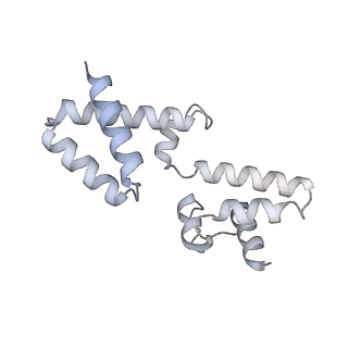 15564_8apb_h_v1-0
rotational state 1b of the Trypanosoma brucei mitochondrial ATP synthase dimer