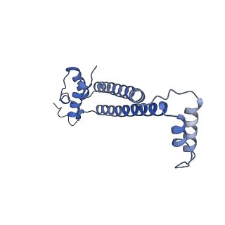 15564_8apb_j_v1-0
rotational state 1b of the Trypanosoma brucei mitochondrial ATP synthase dimer