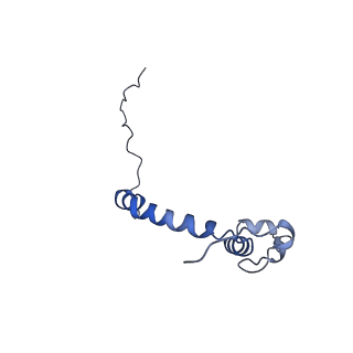 15564_8apb_k_v1-0
rotational state 1b of the Trypanosoma brucei mitochondrial ATP synthase dimer