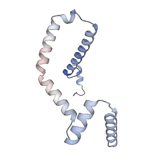 15564_8apb_m_v1-0
rotational state 1b of the Trypanosoma brucei mitochondrial ATP synthase dimer