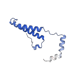 15564_8apb_o_v1-0
rotational state 1b of the Trypanosoma brucei mitochondrial ATP synthase dimer