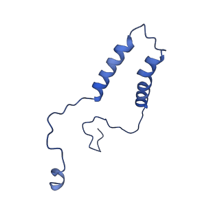 15564_8apb_q_v1-0
rotational state 1b of the Trypanosoma brucei mitochondrial ATP synthase dimer