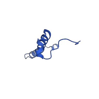 15564_8apb_r_v1-0
rotational state 1b of the Trypanosoma brucei mitochondrial ATP synthase dimer