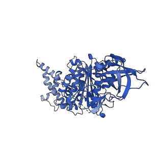 15565_8apc_A1_v1-0
rotational state 1c of the Trypanosoma brucei mitochondrial ATP synthase dimer