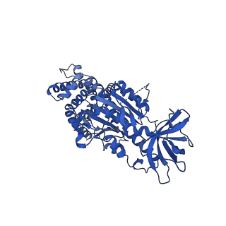 15565_8apc_C1_v1-0
rotational state 1c of the Trypanosoma brucei mitochondrial ATP synthase dimer