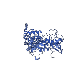 15565_8apc_D1_v1-0
rotational state 1c of the Trypanosoma brucei mitochondrial ATP synthase dimer